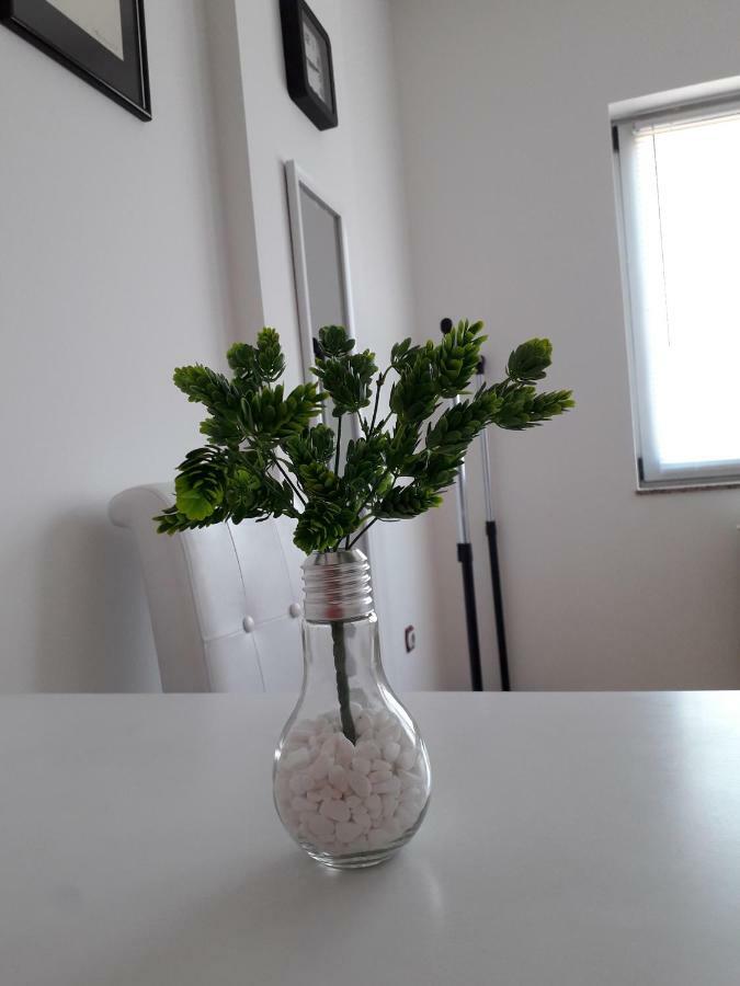 Apartman Dunja Ns 2 Novi Sad Exteriör bild