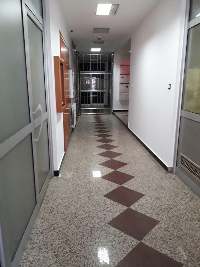 Apartman Dunja Ns 2 Novi Sad Exteriör bild