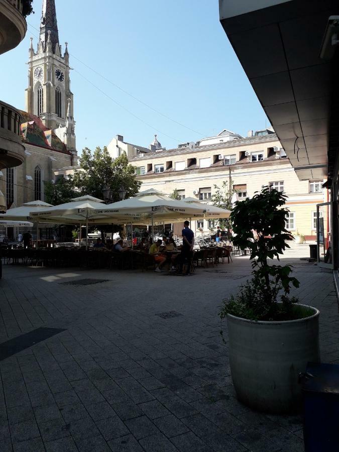 Apartman Dunja Ns 2 Novi Sad Exteriör bild